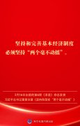 金句｜坚持和落实“两个毫不动摇”
