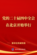 中国共产党第二十届中央委员会第四